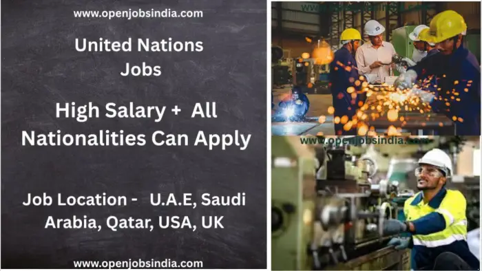 5578-1786596042-un-job